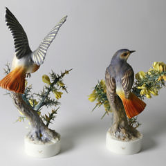 Pair of Dorothy Doughty Royal Worcester Porcelain Redstart Ruticilla Phoenicurus and Gorse