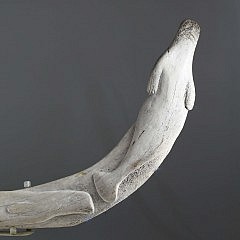 Whale Rib