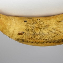 Whaleman Scrimshaw Sperm Whale Tooth