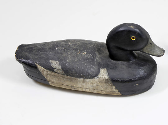 Duck Decoy