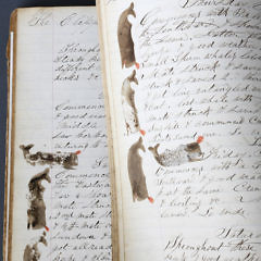 Journal of The Bark Mermaid of Westport, E.E. Hicks Master, Bound on a Whaling Voyage to Indian Ocean