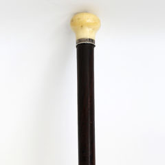 1445-54 Walking Stick B_3232