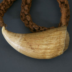 19th Century Tambua Sperm Whale Tooth