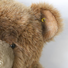 Large Steiff Grizzly Bear