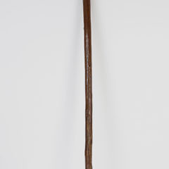 19th Century Wild Boar Tusk Cane