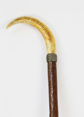 41078 Wild Boar Tusk Cane B_MG_2716