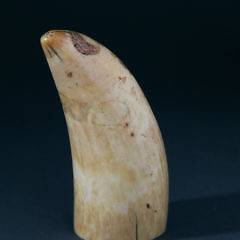 Whaleman Scrimshaw and Polychrome Sperm Whale Tooth, circa 1860