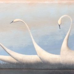 Mike Butler Oil on Wood Panel “Five White Swans Swimming”