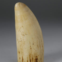 Whaleman Bas Relief Carved Sperm Whale Tooth, circa 1850