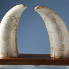 105-4817 Pair Scrimshaw Whale Teeth A_MG_6052