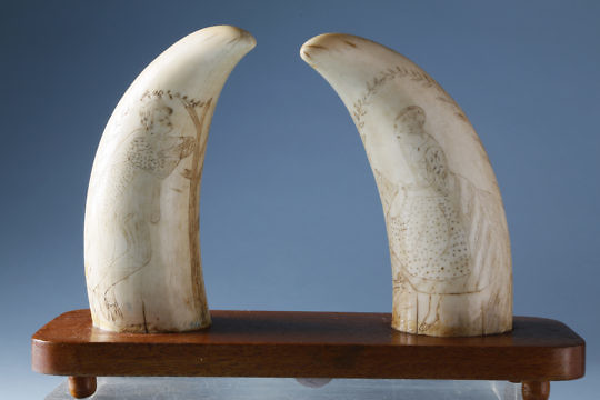 105-4817 Pair Scrimshaw Whale Teeth A_MG_6052