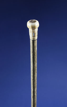 20-4823 Octagonal Walking Stick B_MG_6008