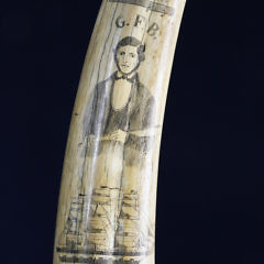 Large American Scrimshawed Walrus Tusk, circa 1885-1890