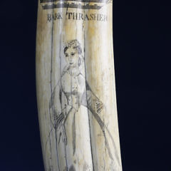 Large American Scrimshawed Walrus Tusk, circa 1885-1890