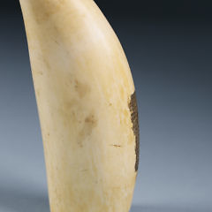 Barque George & Mary N.B. Scrimshaw Sperm Whale Tooth, circa 1850