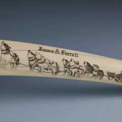 Fine Eskimo “James A. Farrell” Scrimshawed Walrus Ivory Tusk Cribbage Board, circa 1890-1900