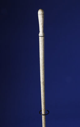 165-4817 Whalebone Walking Stick A_MG_6646