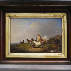 26-4900 Franz Van Severdonck Chickens and Ducks Feeding A_MG_6369