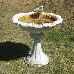 White Painted Cast Iron Bird Bath with Perched Bird at Rim’s Edge