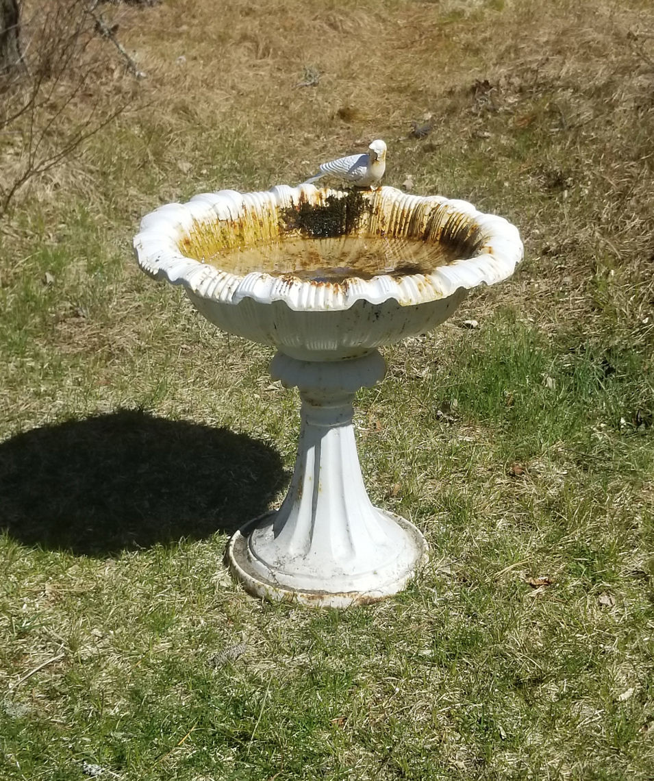 White Painted Cast Iron Bird Bath White Painted Cast Iron Bird Bath