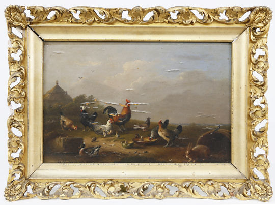 36-4900 Franz Van Severdonck Chickens Feeding A_MG_6362