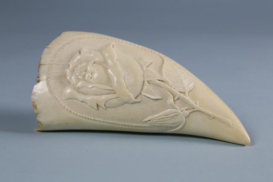 40-4823 Bas Relief Rose Whale Tooth A _MG_6172