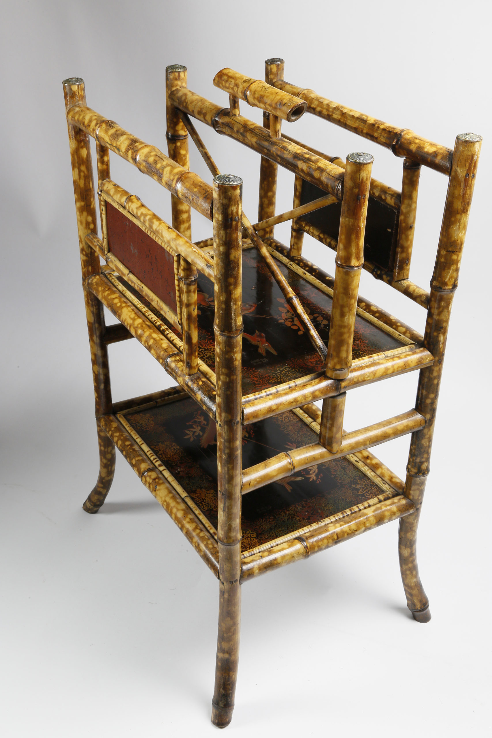 41129-Tortoiseshell-Bamboo-