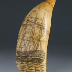 43-4823 Man O War Scrimshaw Tooth A_MG_6188