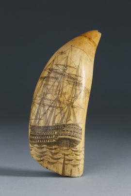 43-4823 Man O War Scrimshaw Tooth A_MG_6188