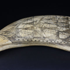 1-4840 Scrimshaw Whale Tooth American Whaling Bark A_MG_8423