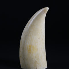 Whaler Scrimshaw Sperm Whale Tooth, circa 1870