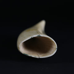 Whaler Scrimshaw Sperm Whale Tooth, circa 1870