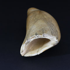 Scrimshaw Sperm Whale Tooth, circa 1840-1850