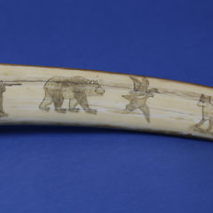 Inuit Scrimshaw Walrus Tusk Cribbage Board