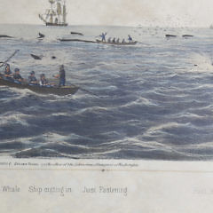 Benjamin Russell Color Lithograph “Sperm Whaling with its Varieties”