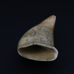 Scrimshaw Whaling Scene Sperm Whale Tooth, circa 1850