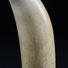 Whaler Scrimshaw Sperm Whale Tooth, circa 1860