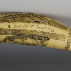 Scrimshaw Whale Tooth Daniel of London by the Britannia Engraver