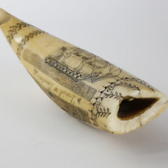 Scrimshaw Whale Tooth Daniel of London by the Britannia Engraver