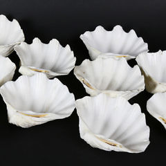 29-4617 Clam Shell Bowls A_9789