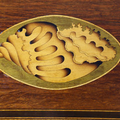 English Partridge Wood Double Satinwood Shell Inlaid Tea Caddy, 19th Century