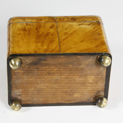 English Regency Tortoiseshell Dome Top Double Compartment Tea Caddy, 1st quarter of the 19th Century