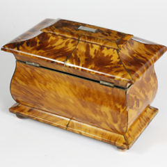 English Regency Tortoiseshell Double Compartment Tea Caddy, 19th Century