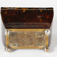 English Regency Tortoiseshell Double Compartment Tea Caddy, 19th Century