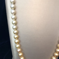 Fine 10mm – 12mm Golden and White South Sea Pearl Ombre Necklace