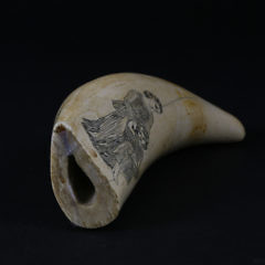 Scrimshaw Sperm Whale Tooth, circa 1860