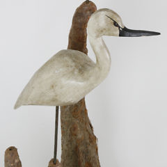 Pair of Carved and Painted Egrets on Natural Cypress Root Base, 20th Century