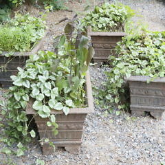 Set of Four Antique Cast Iron Rectangular Flower Planters