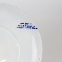 Two Nantucket Blue and White Souvenir Plates