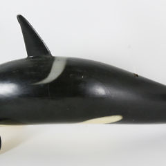 Carved and Painted Orca Whale by Peter Thompson